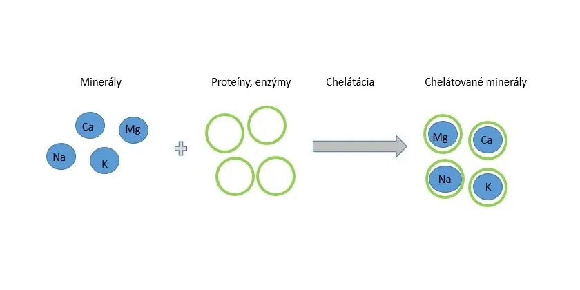 chelacia a jej výhody